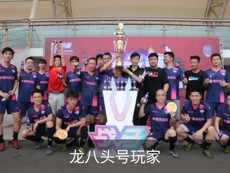 龙八头号玩家简介